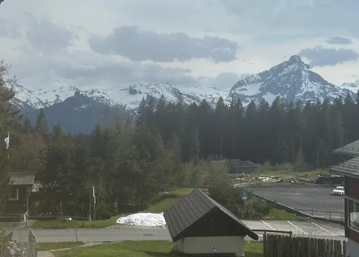 Arvenbueel Bergtraum Ueber *